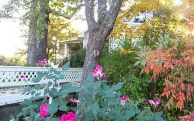 Wildflowers Farm Bed & Breakfast