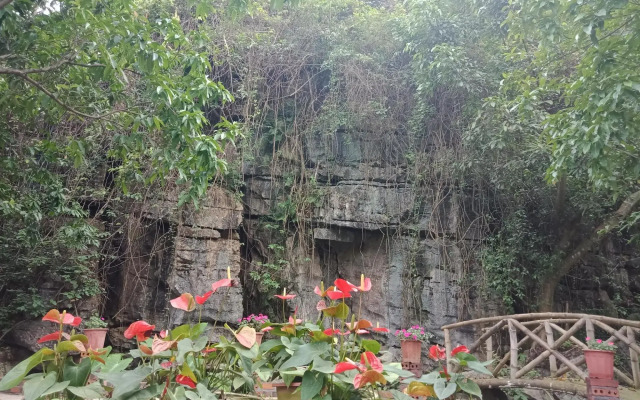Rustic Houses Tam Coc