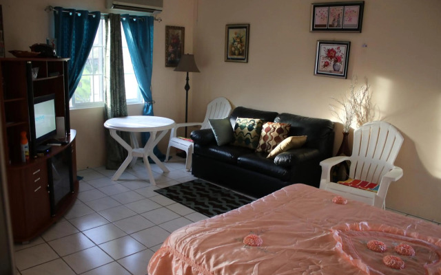 Cozy Studio @ Country Manor