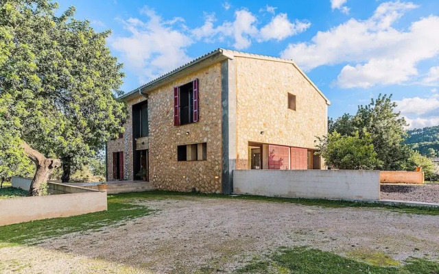 NEW 2020 - Empaltada