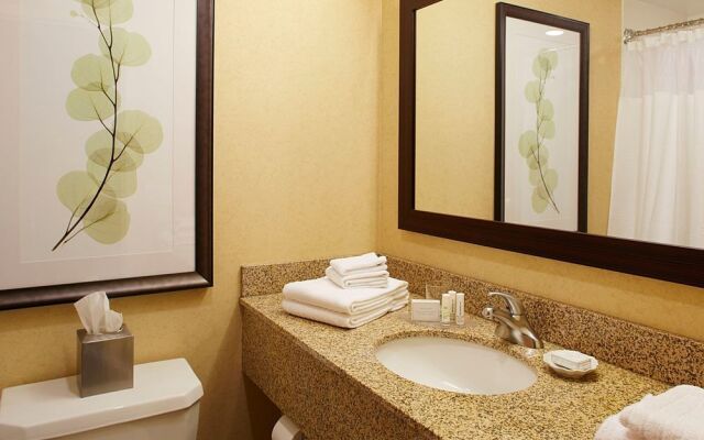 Courtyard Ithaca Airport/University