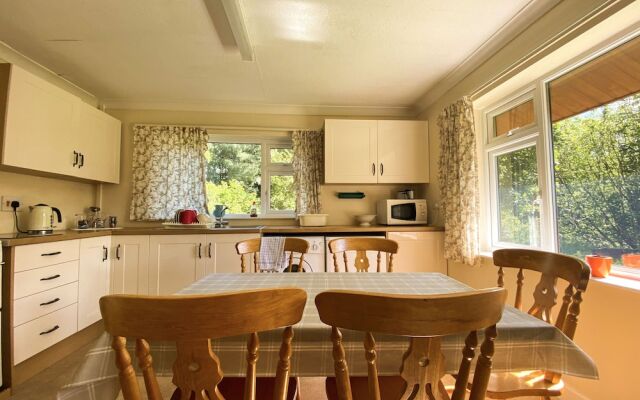 Broncoedwig Devil's Bridge