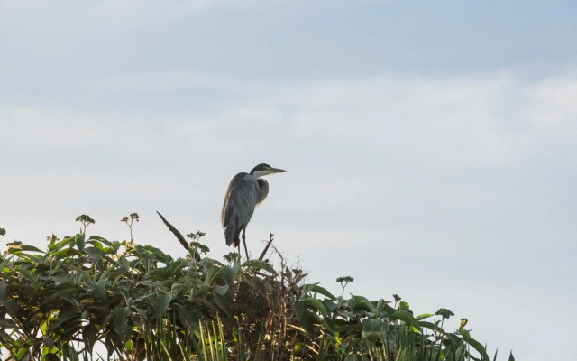 Tala Game Reserve