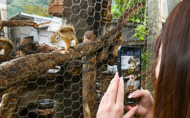 Yufuin Floral Village Hotel