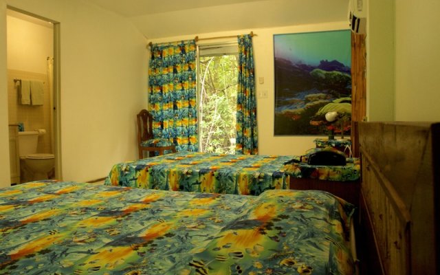 Pacific Treelodge Resort Kosrae
