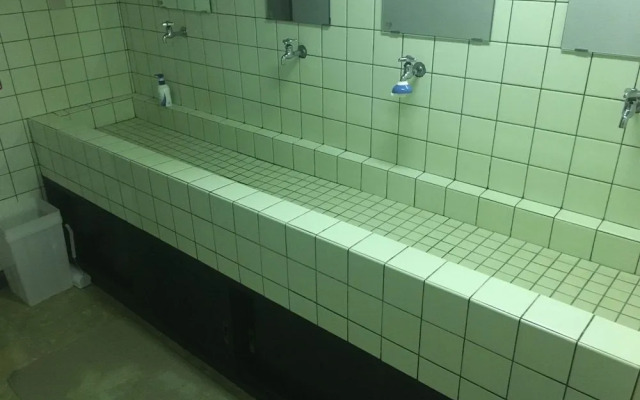 Iriomotejima sawayakasou