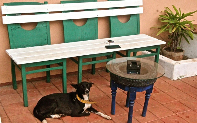 The Assagao House Luxury Villa