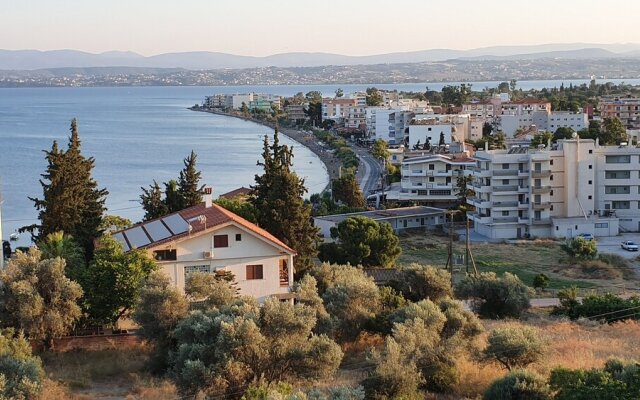 Lefkadi Apartments By The sea