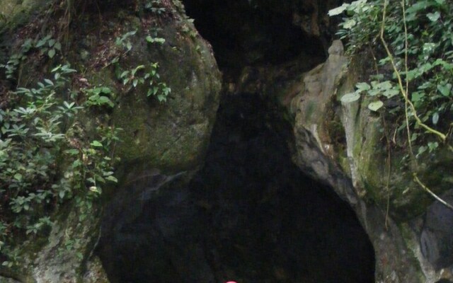 Lower Dover