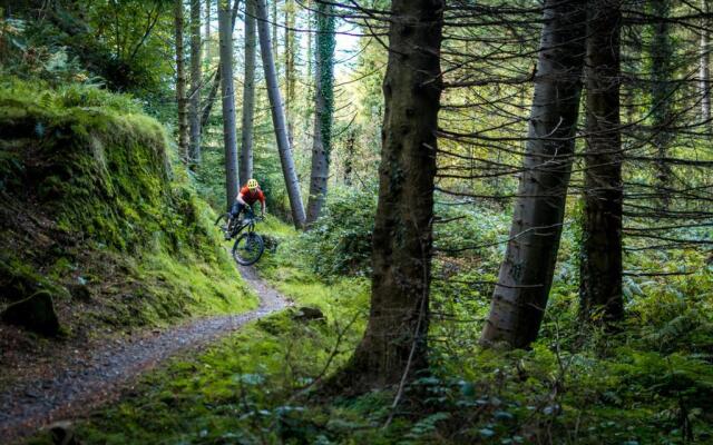 The Downshire Arms Apartments Hilltown