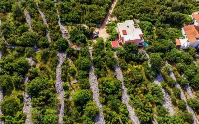 Slavka - Quite and Peaceful Location - A2 Veliki