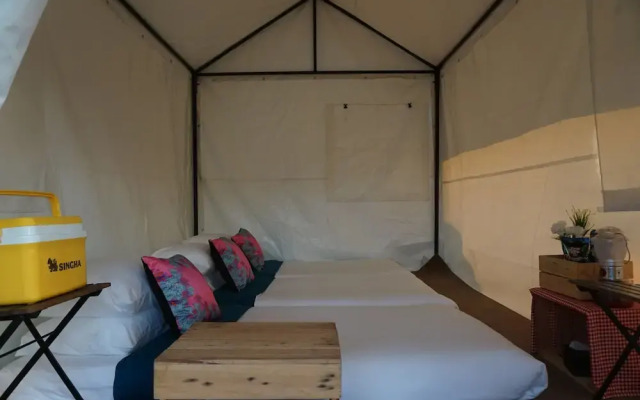 Singha Park Chiang Rai Camping