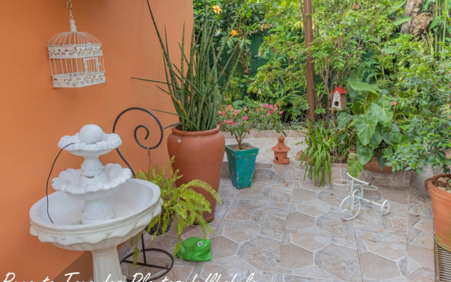 Recanto Toca das Plantas de Ilhabela II