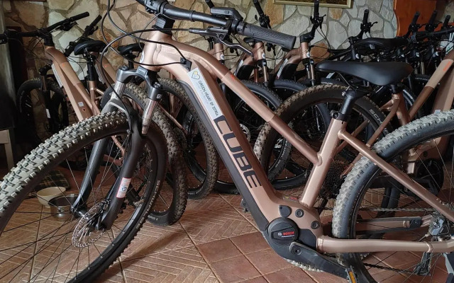 Apartments Villa Amaryllis