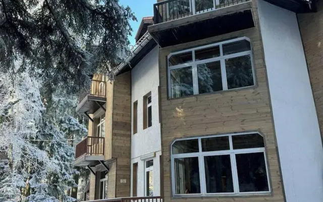 The Forest Villa Borovets1