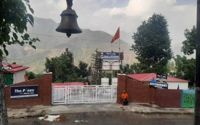 The Pines Mountain View