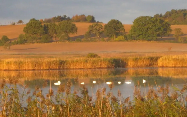 Schittering van de Zee