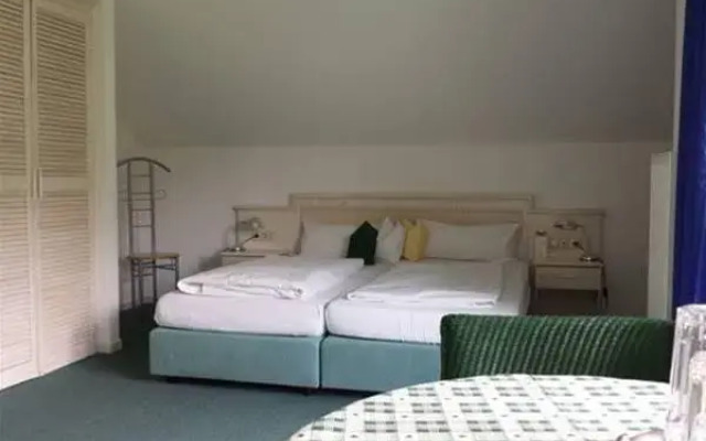 Hotel Kleiner König