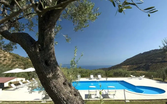 La Collina degli Ulivi