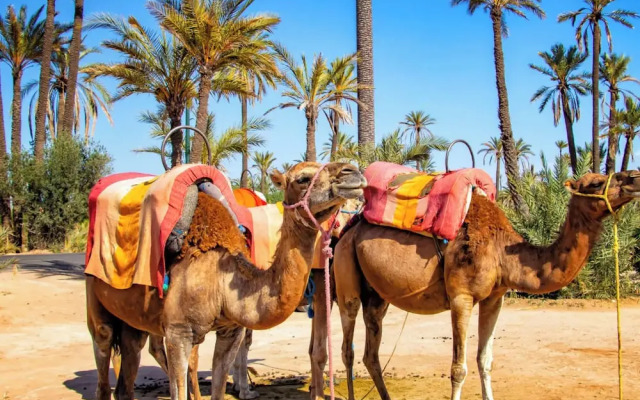 Residence Olivier De Marrakech