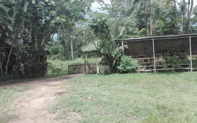 Villa Hermosa de Tambopata Casa Hospedaje & Hostel