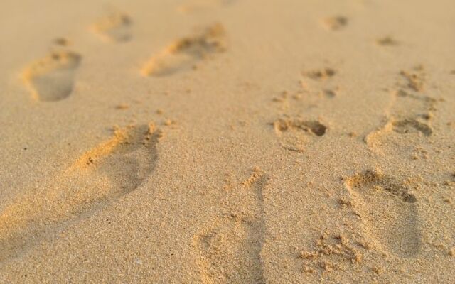 The Most Beautiful Bay