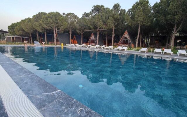 Welllife Hotels & Restaurant