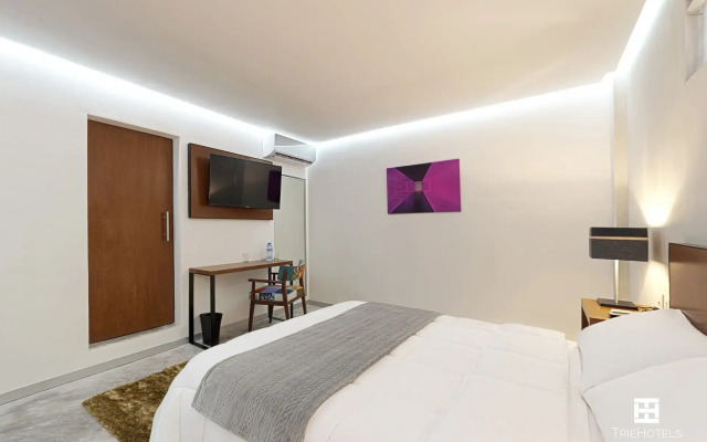 Hotel Urban 101