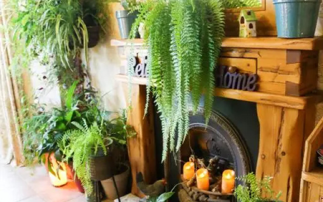 Avarest B&B