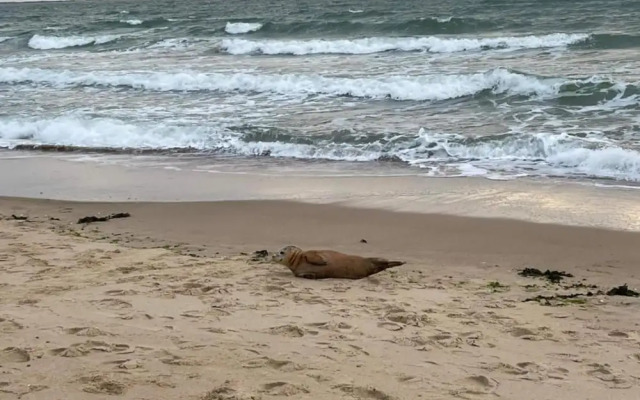 Romantic Getaway With Garden