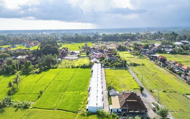Green Flow Villa 22