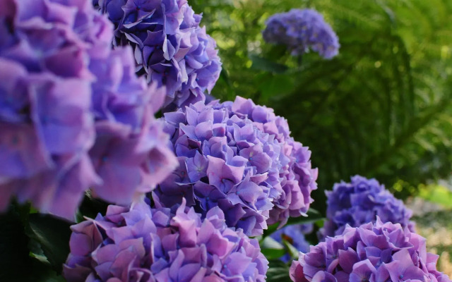 The Crays Accommodation