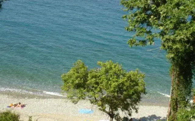 Hotel Anesis