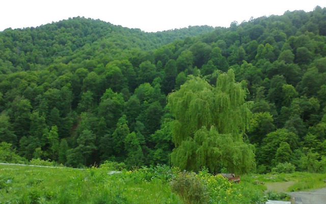 Rest House in Dilijan