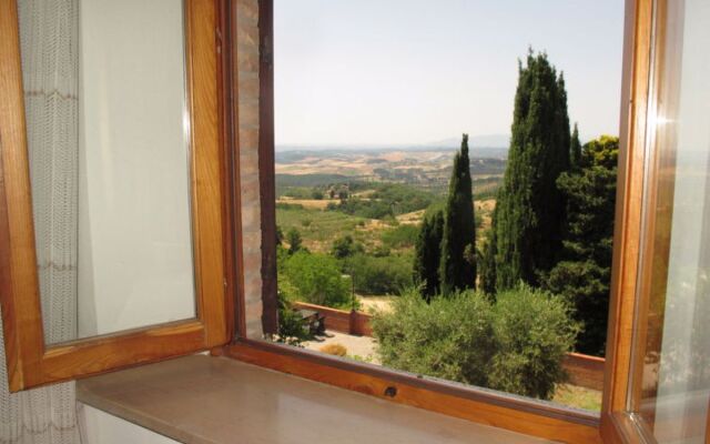 San Vivaldo, Nr. 12 (MOI135)