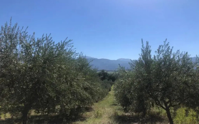 Appartamento immerso nel verde