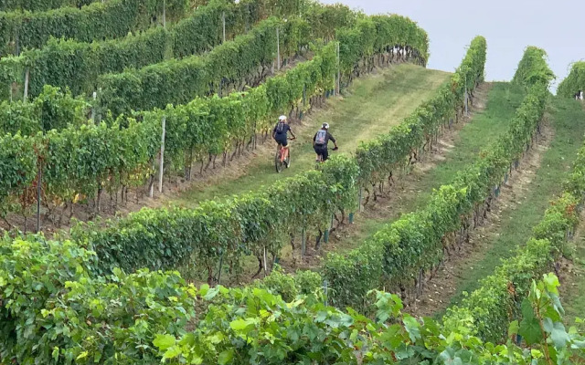 Miravigne House - Casa di Campagna