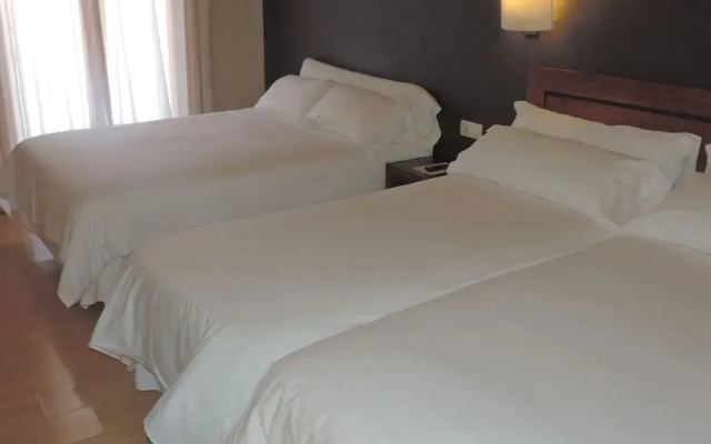 Hotel Puerta de España