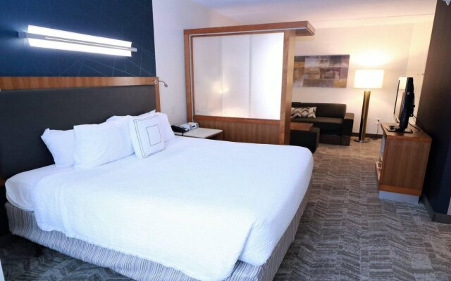 SpringHill Suites by Marriott San Antonio Alamo Plaza/Convention Center
