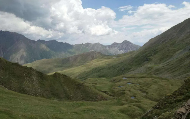 Montanaris