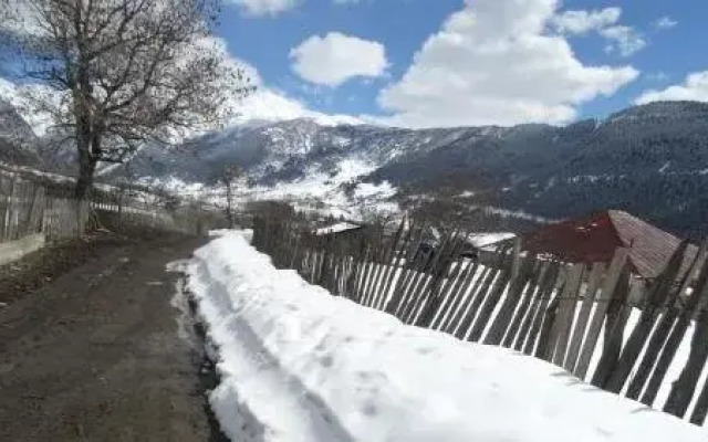 Tetnuldi Paradise