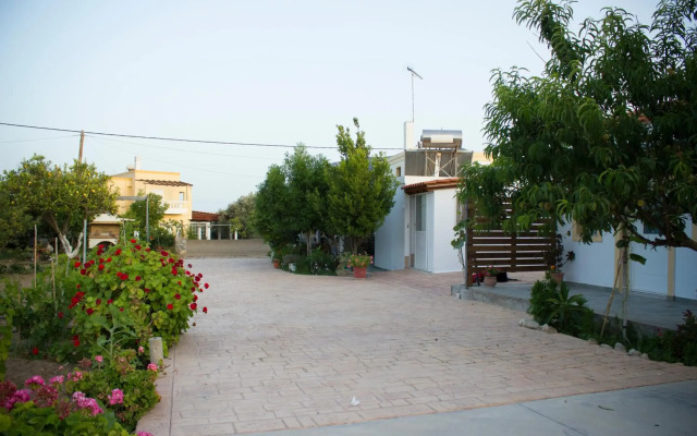 Level Houses