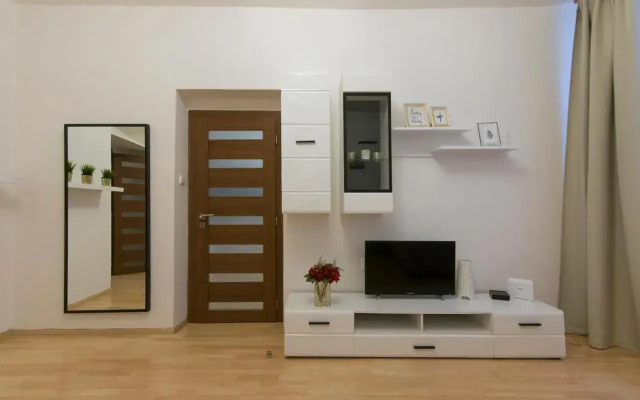 Spacious apartment near Wenceslas Square