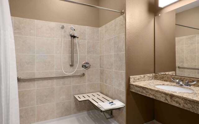 Microtel Inn & Suites by Wyndham Pleasanton