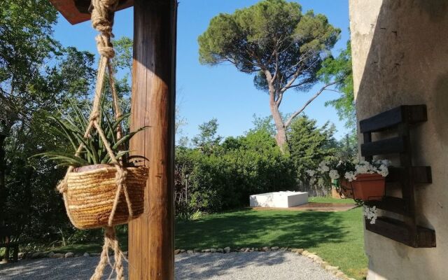 B&B Fattoria Camilla