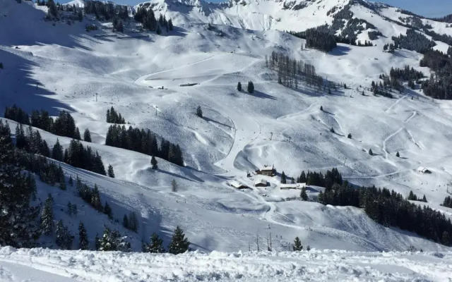 Designer-Chalets