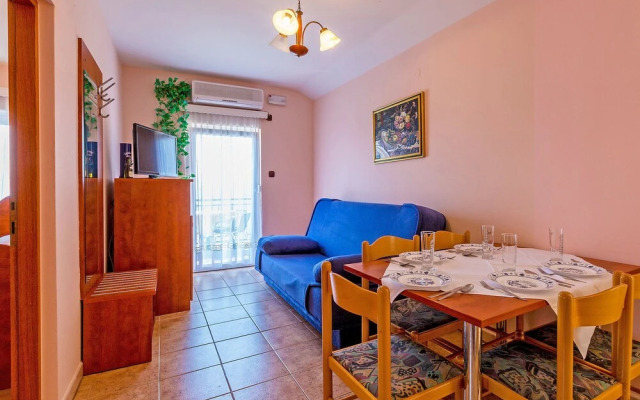 Delfin Cesarica in Cesarica