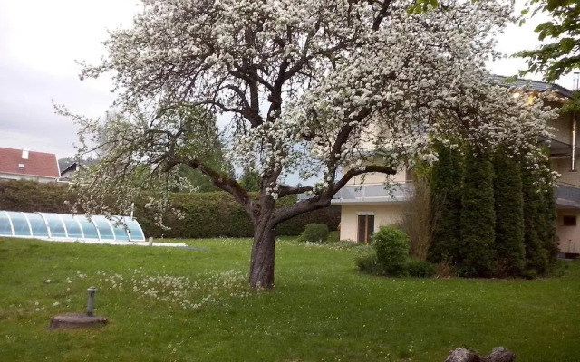 Villa Viola