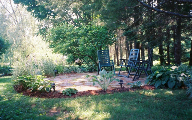 Tulips and Thistle Bed & Breakfast