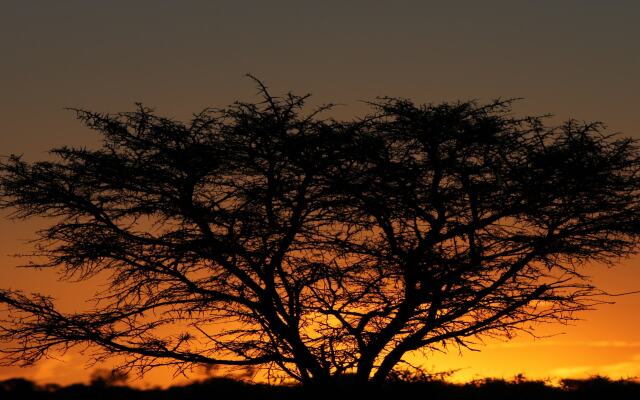 Bukela Game Lodge Amakhala Game Reserve